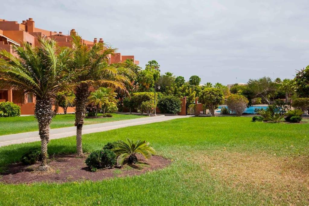 Luxury Apartment Sotavent III El Medano  Ngoại thất bức ảnh